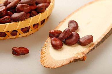 《怪物猎人 崛起》将于日本环球影城联动 活动1月21日开启